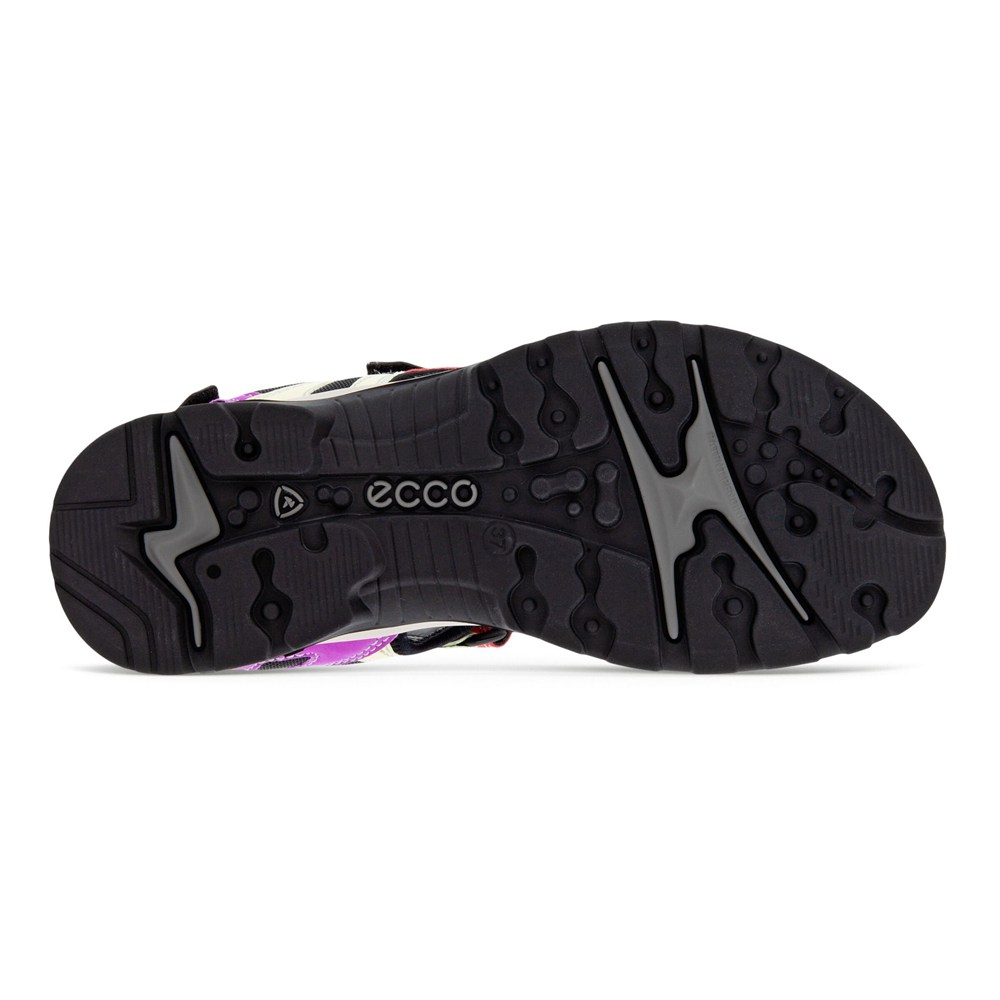 Womens Sandals - ECCO Offroad Flat - Multicolor - 9723CQKYE